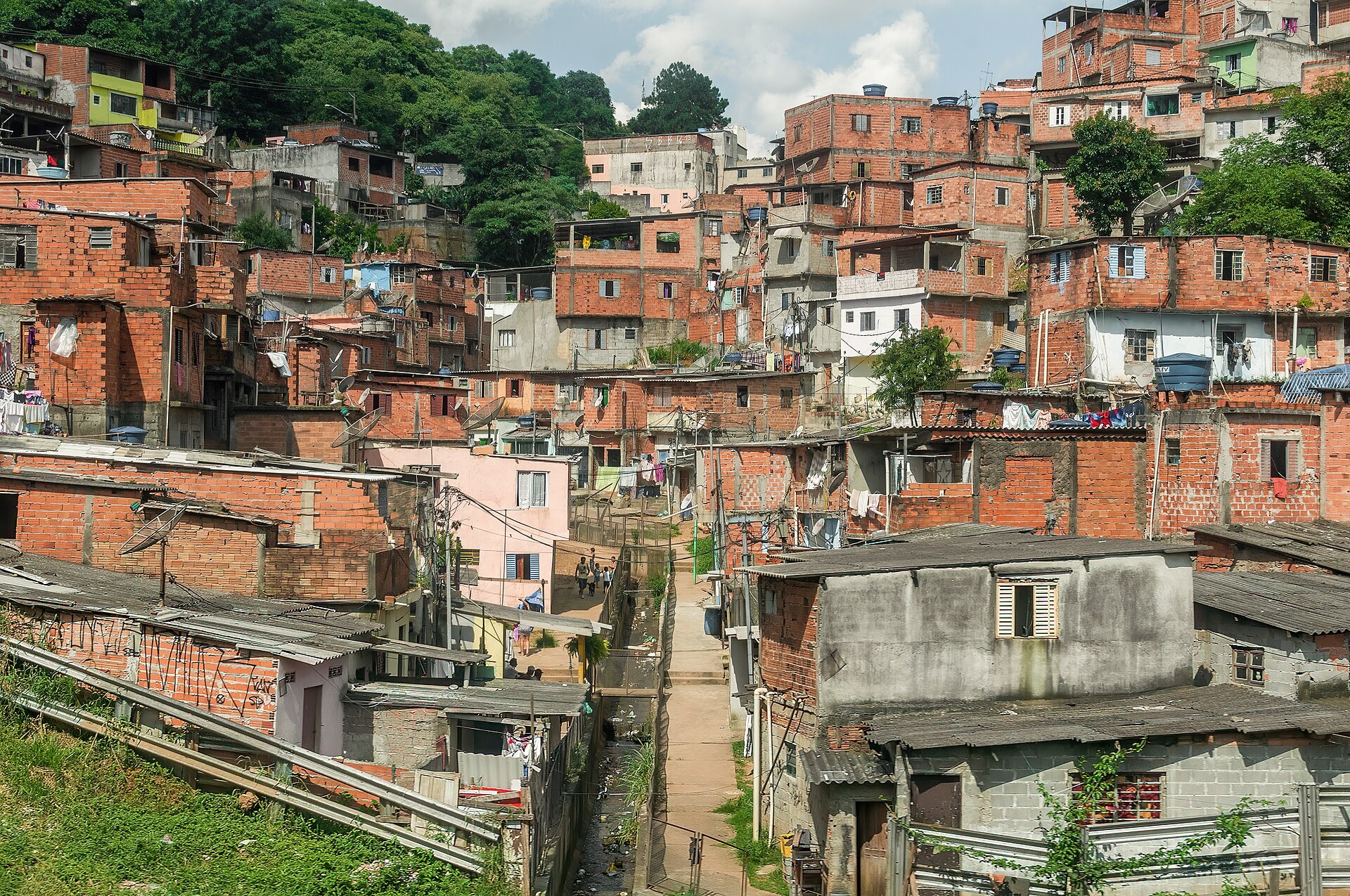 Mata e encosta da Serra da Cantareira na região metropolitana de São Paulo.