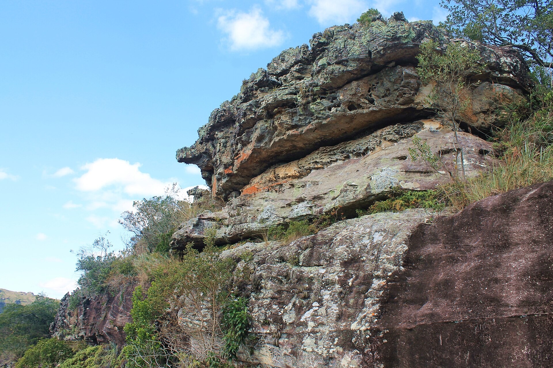 Paredão de arenito e vegetação no Cânion Guartelá, Tibagi, Paraná.